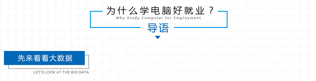 绿业电脑学校学什么专业前景好?